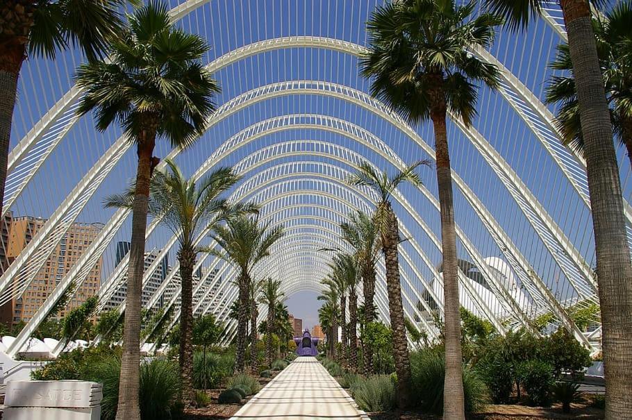 Apartamento Turistico Lux Center Valencia Kültér fotó